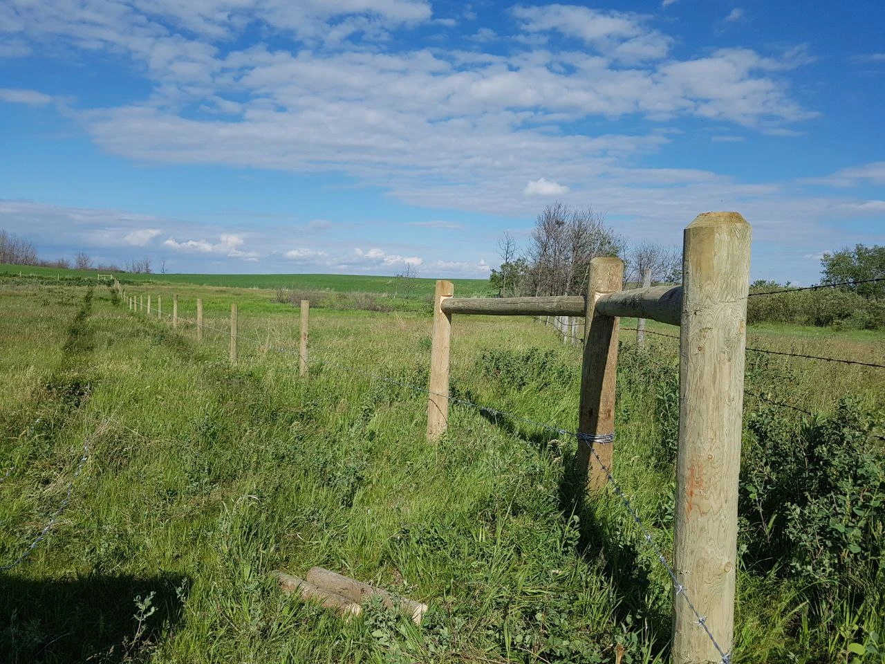 Our Amazing Fence Projects in the Canadian Provinces