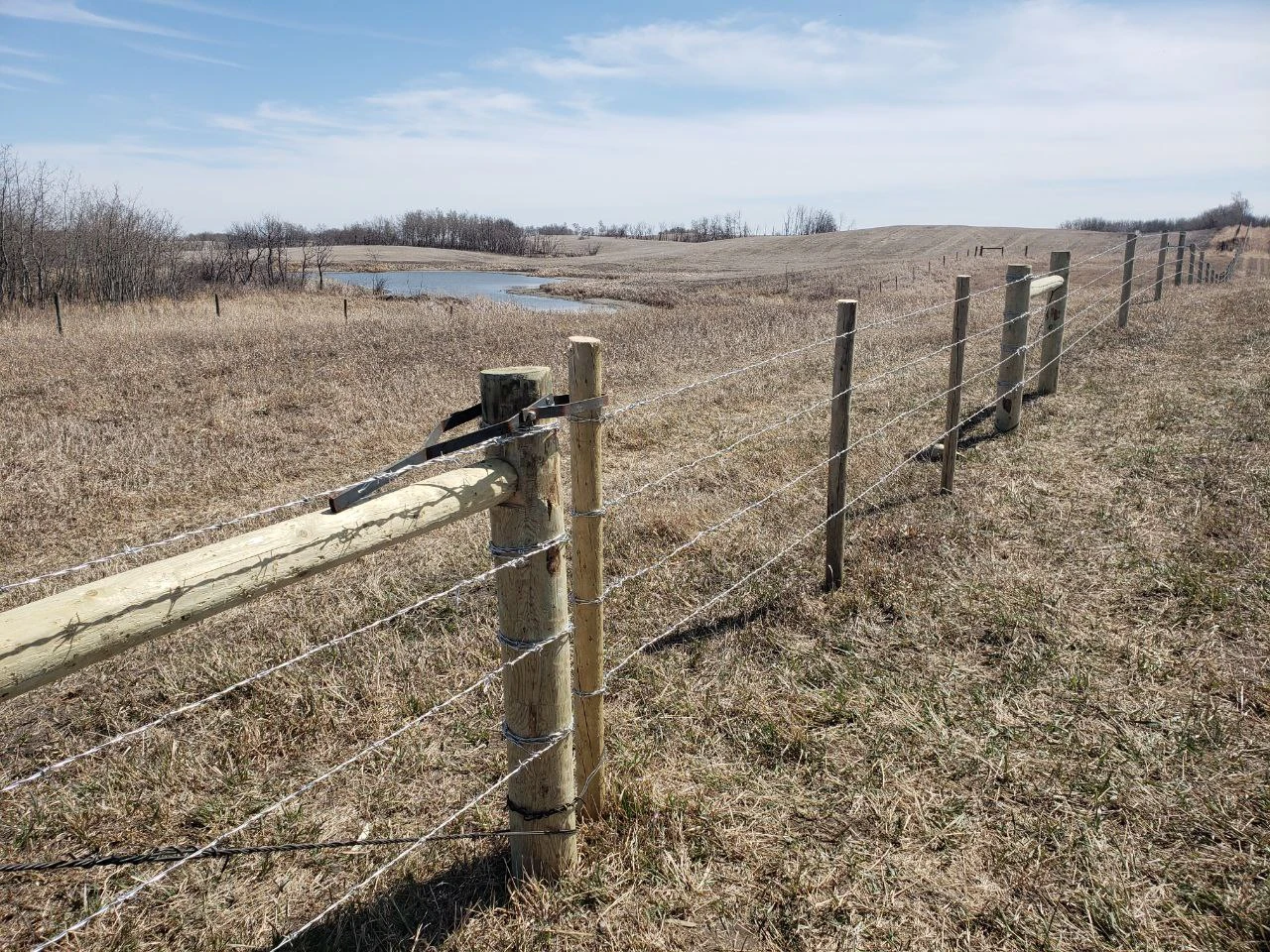 Barb_wire_fence4