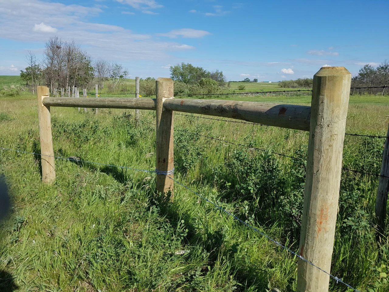 Barb_wire_fence8