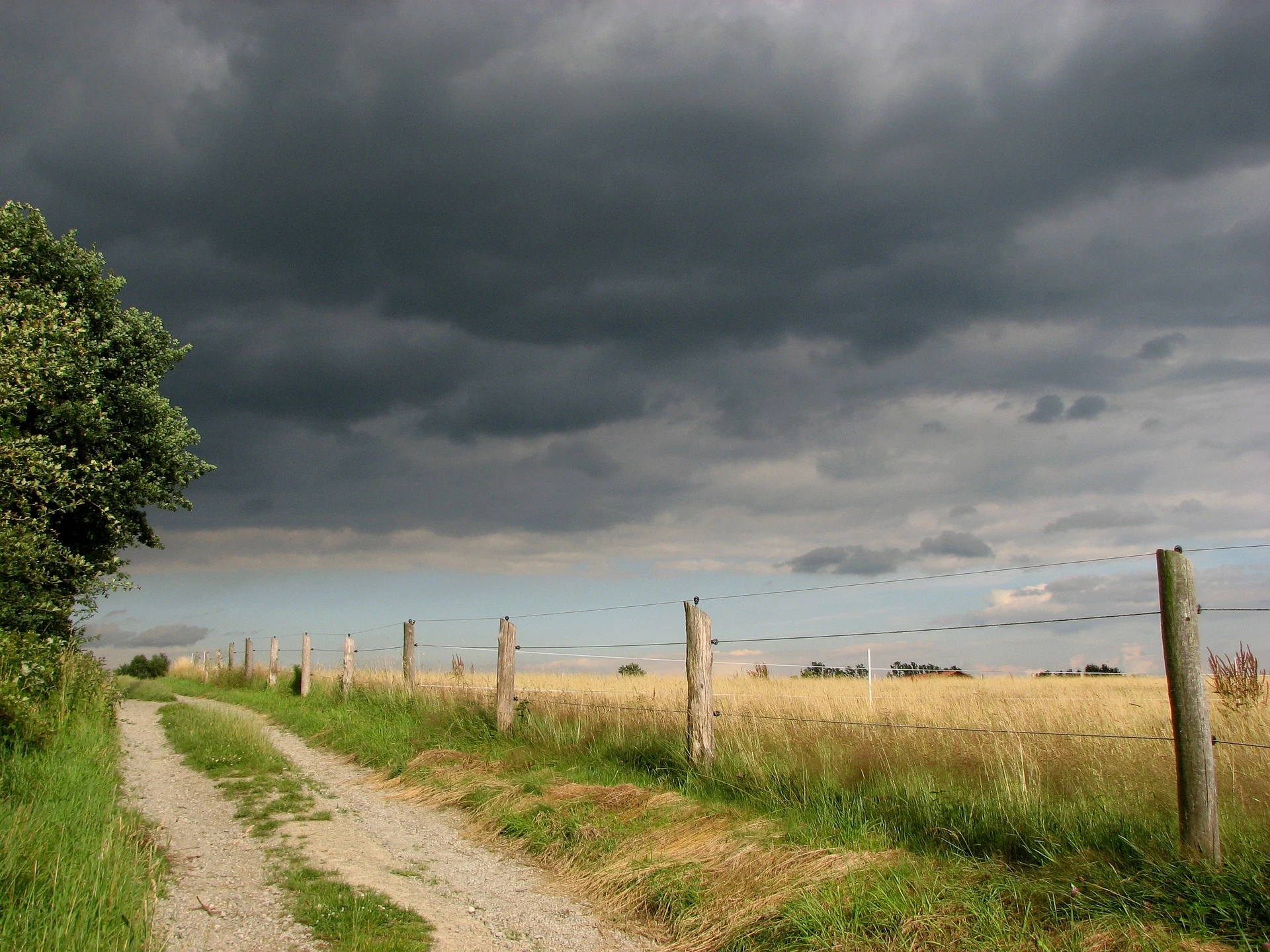 Electric-fence-5