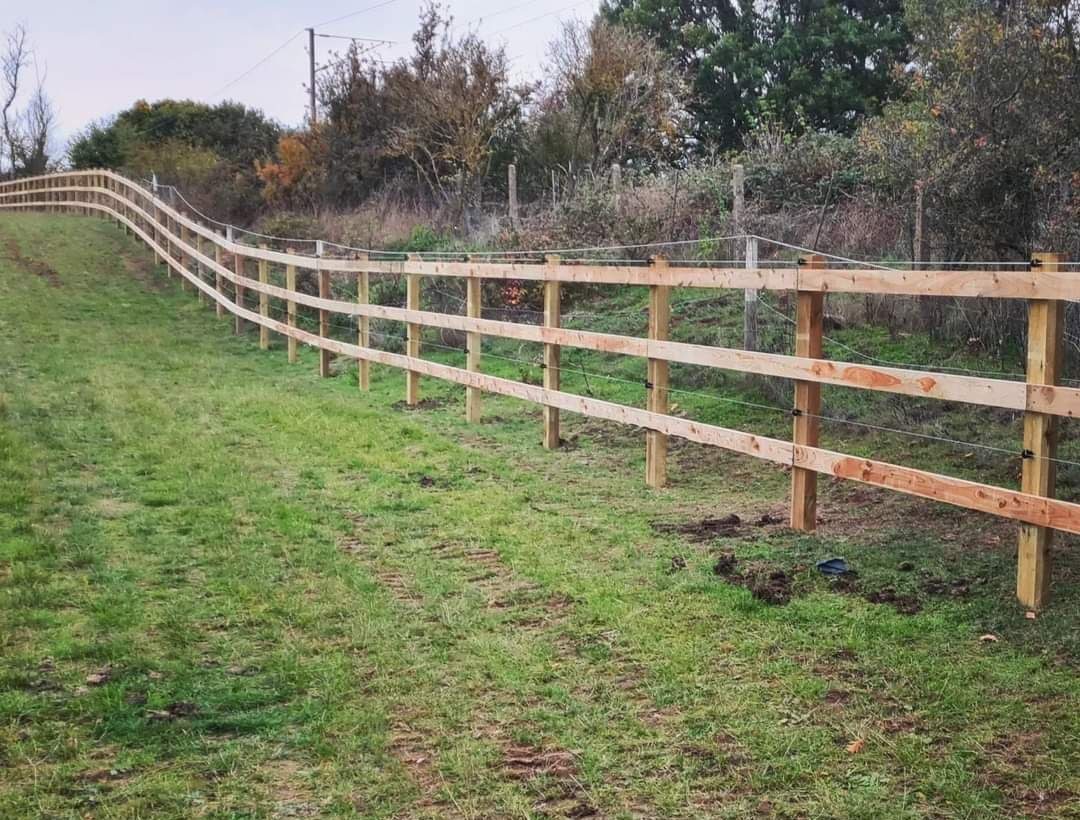 Do You Need Quality Fencing? Check Out Our Fencing Services