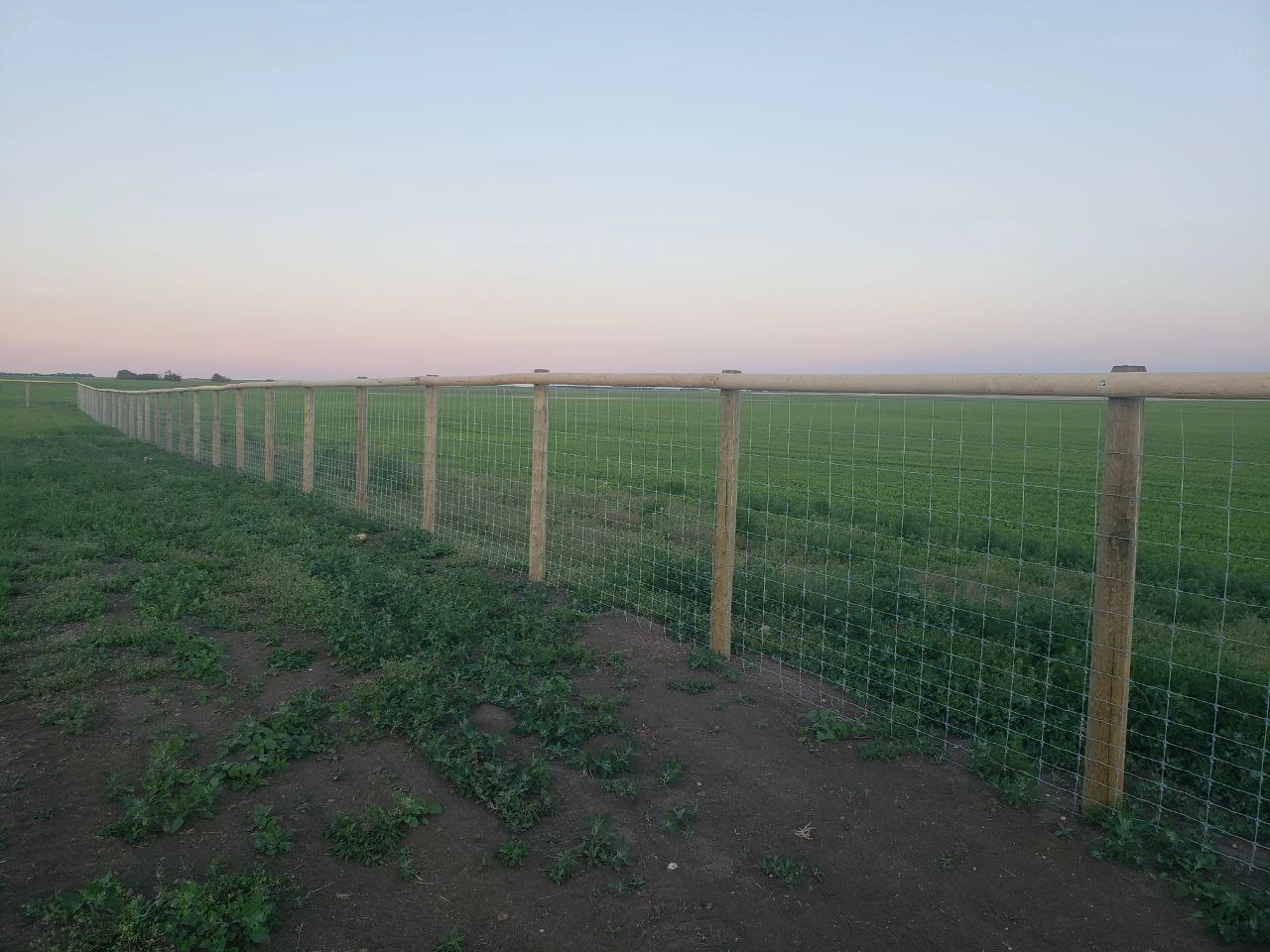 Do You Need Quality Fencing? Check Out Our Fencing Services