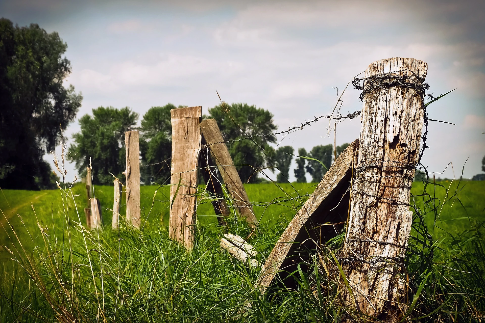 Removing-an-old-fence-1