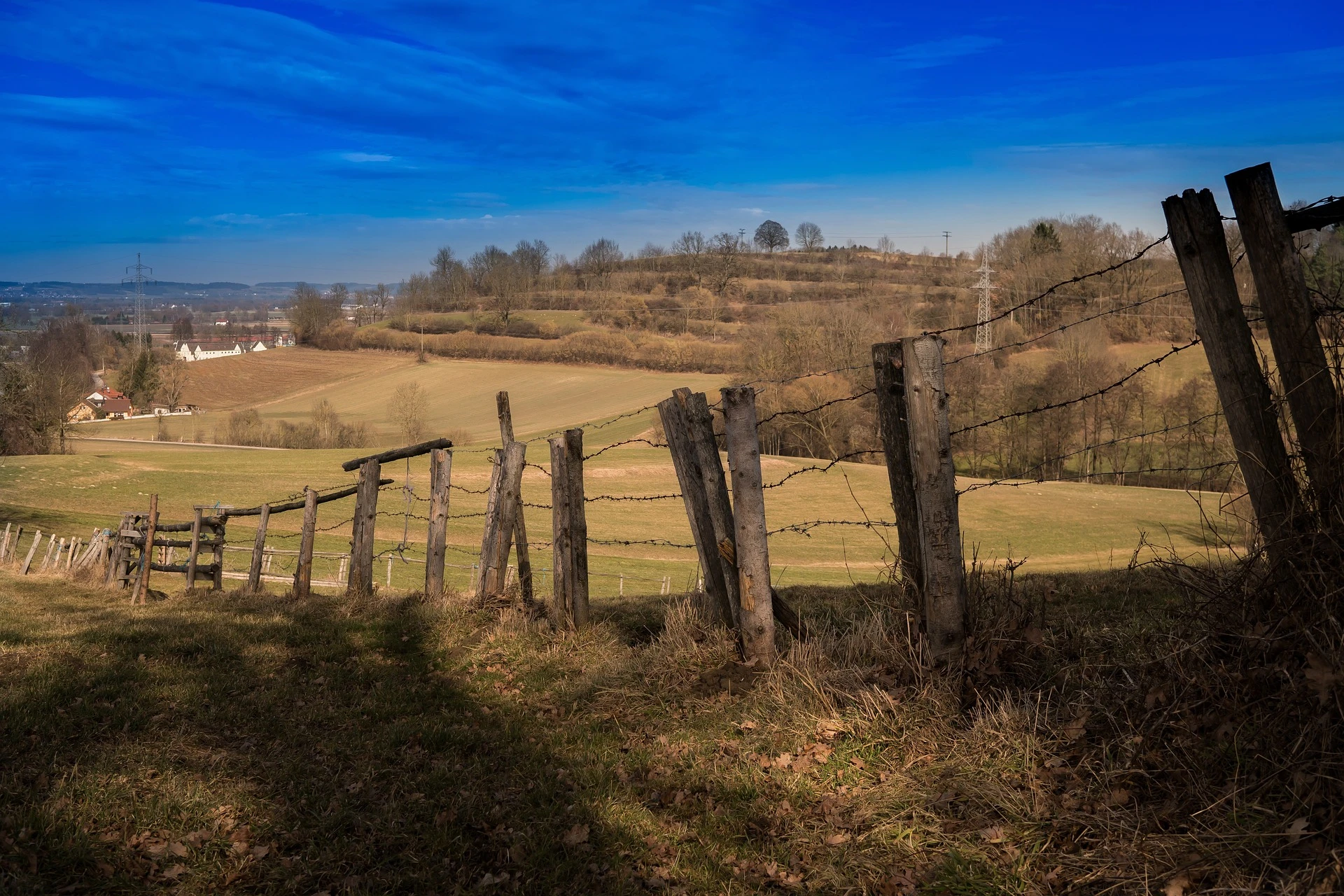 Removing-an-old-fence-2