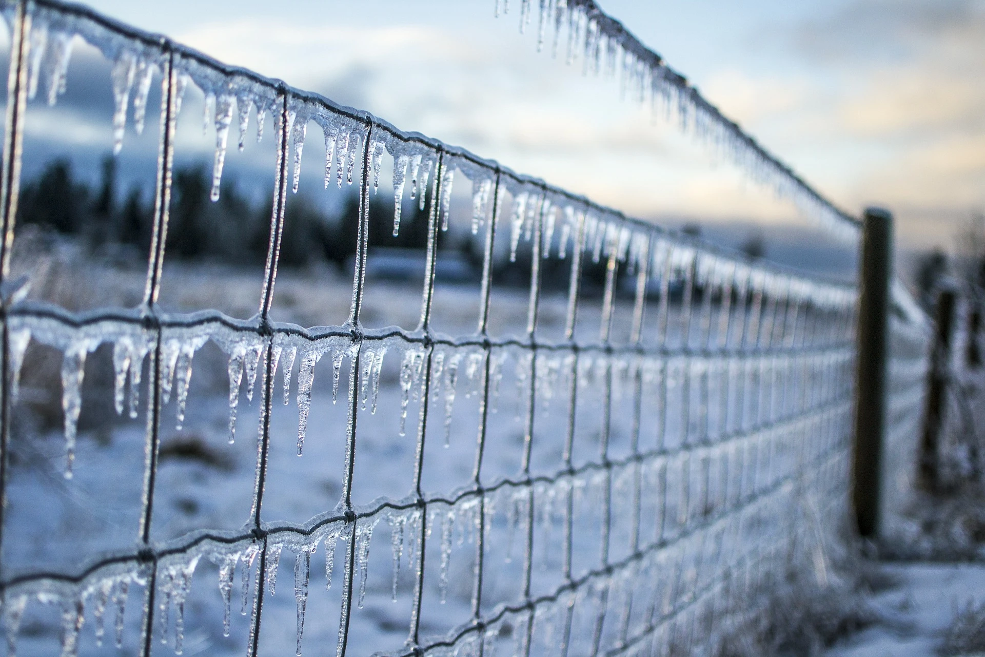 field-fence-11