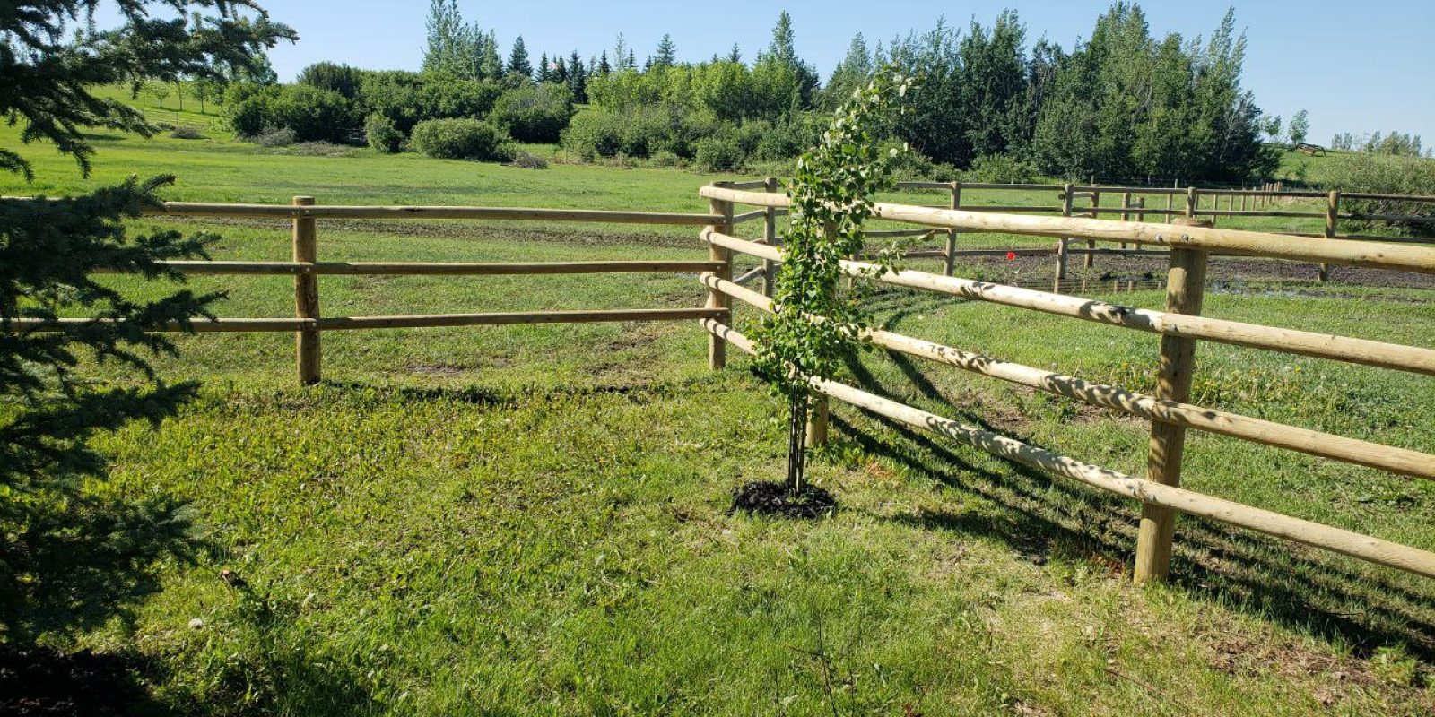 Round-Rail-Fence-for-Horses-8